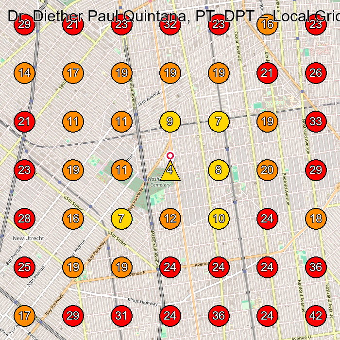 Dr. Diether Paul Quintana, PT, DPT GeoGrid visibility map for Physical Therapist in Brooklyn